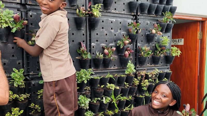 Learners tending the vertical garden